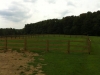 Horse fencing - 3 Board