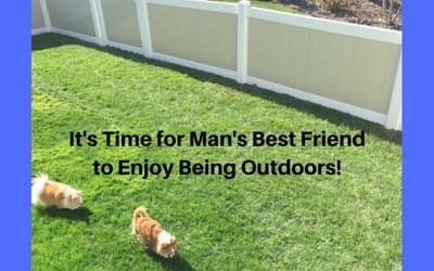 It’s Time for Man’s Best Friend to Enjoy Being Outdoors!