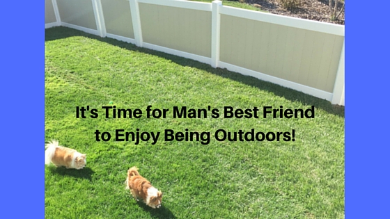It’s Time for Man’s Best Friend to Enjoy Being Outdoors!